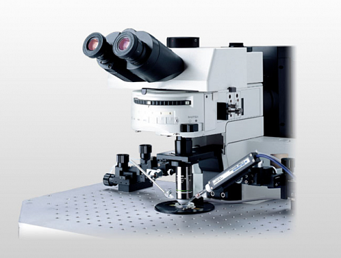 Olympus BX51Wi